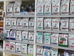 -美联众合动物医院·24h京西诊疗中心