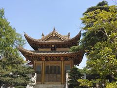 -上海东林寺(金山区)