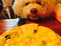 -百好乐宠物友好餐厅(朝外大街店)