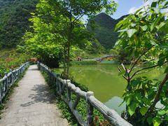 -靖西鹅泉风景区