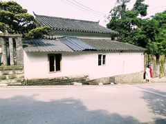 -南山植物园