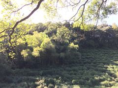 -杭州西湖风景名胜区-三生石