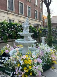 -米莱摄影写真(五大道别墅店)