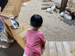 -昆明大悦城未来动物城(螺蛳湾中心店)