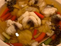 石斑鱼两吃-葡京日丽(澳门葡京酒店)