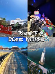 -飞览天下沉浸式飞行体验(北京旗舰店)