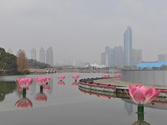 -月湖风景区