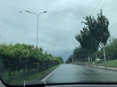 -九头鸟酒家(东高地店)