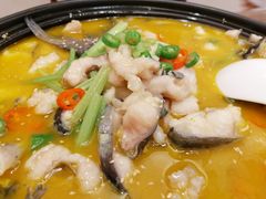 -鲁宴·鲁煨黄河生态大鲤鱼(月坛店)