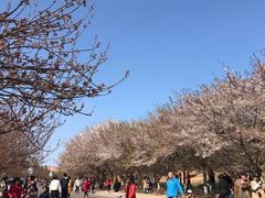-中国海洋大学（崂山校区）-游泳馆