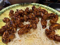 -鸽子窝(宋庄店)