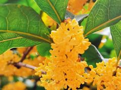 -上海置地广场(南京东路店)