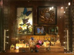 -Behring World of Animals(上海自然博物馆店)