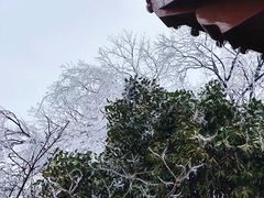 -灵顺寺