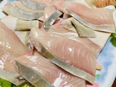 -金砂阿洲鱼册店