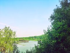 -溱湖国家湿地公园