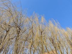 -长春公园(普阳街道)