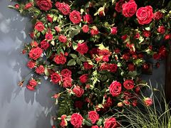 -第101座花园餐厅(湖滨88店)