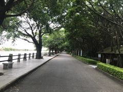 -大湾区中央湿地公园