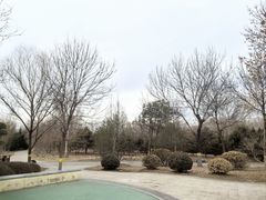 -永定河休闲森林公园