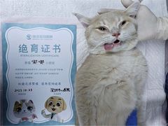 -瑞派中心宠物医院·CT·核磁·神经专科