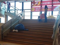 -积木宝贝科学早教托育成长中心(万科城广场店)