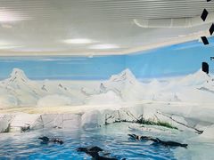 -上海海洋水族馆