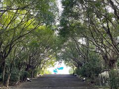 -深圳国际园林花卉博览园