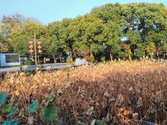 -丝绸小镇荻港古村