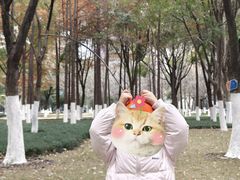 -西北湖绿化广场