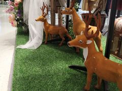 -天虹购物中心(石路店)