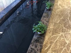 -申宴酒楼(王子百货店)