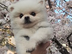 -杨高南路(地铁站)