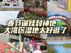 -大湾区中央湿地公园
