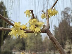 -莲池书院博物馆