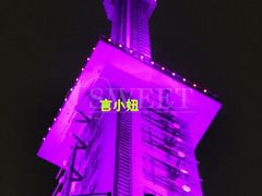 -339旋转餐厅(天府熊猫塔店)
