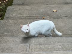 -敬亭山风景名胜区