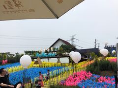 -紫颐香薰山谷景区