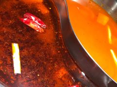 -彤德莱火锅(乐陵路店)