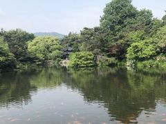 -西湖外事游船(花港观鱼码头)