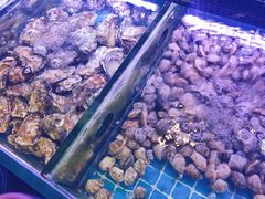 -金海湾海鲜排档(朱家尖店)
