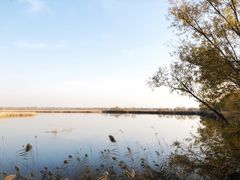 -野鸭湖国家湿地公园