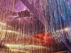 -Darling Queen·Mini·Live·House