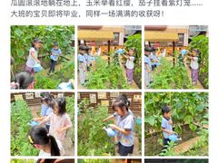 -协和实验幼儿园