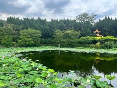 -嘉定紫藤园