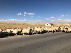 -青海湖国家重点风景名胜区