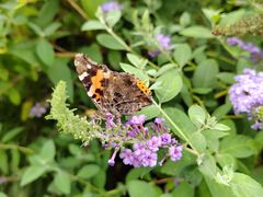 -苏州河梦清园环保主题公园