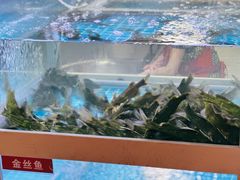 -石锅苗苗鱼(武汉首店)