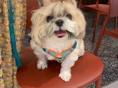 -绿草地·湘菜(芙蓉天街店)