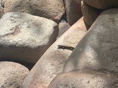 -三亚珠江南田温泉度假区